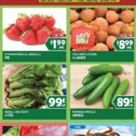 99 Ranch Market Weekend Specials June 19 to June 25 2026 – Grab Your Offers!