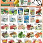 Ample Food Market Weekly Flyer: Specials This Week from 19 June 2026