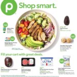 Publix Weekly Ad This Week June 24 to June 30 2026 – Exciting Offers Await!