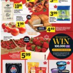 Foodland Weekly Flyer: Special This Week From 25 June 2026!