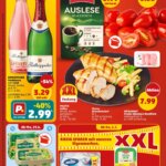 Penny Prospekt Specials Start 29 June 2026 – Offers Online
